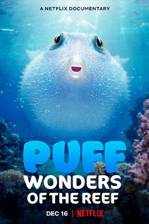 ดูหนังออนไลน์ Puff Wonders of the Reef (2021) พัฟฟ์ มหัศจรรย์แห่งปะการัง moviehdfree