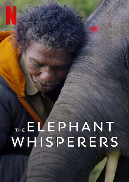 ดูหนังออนไลน์ฟรี ดูหนังออนไลน์ฟรี NETFLIX The Elephant Whisperers 2022 คนกล่อมช้าง moviehdfree
