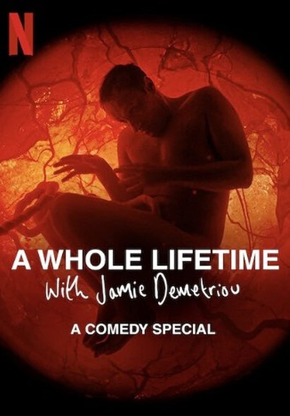 ดูหนังออนไลน์ ดูหนังออนไลน์ฟรี NETFLIX A Whole Lifetime with Jamie Demetriou 2023 moviehdfree